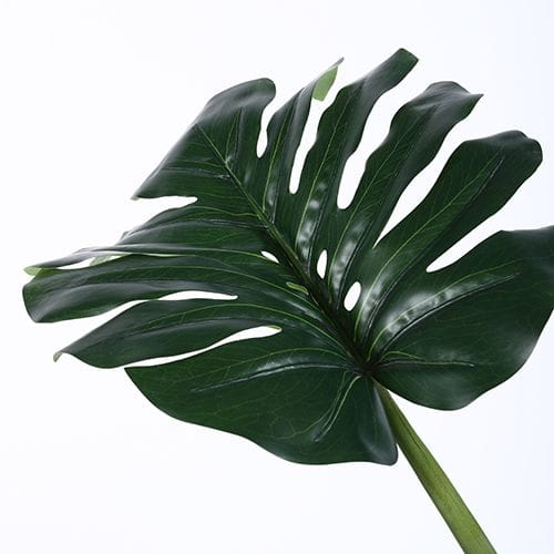 Artificial Monstera Deliciosa, 180CM