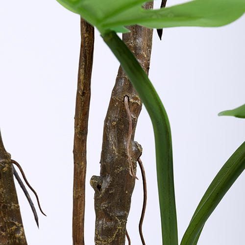 Artificial Monstera Deliciosa, 180CM