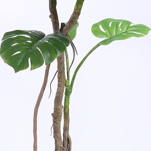 Artificial Monstera Deliciosa, 170CM