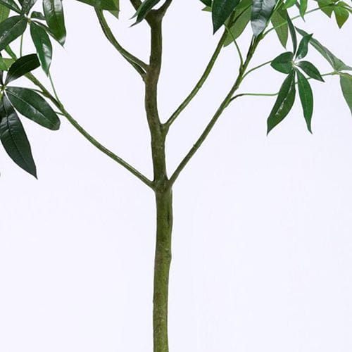 Artificial Pachira Aquatica, 150CM