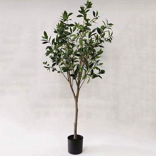 Artificial Bay Laurel Tree, 120 CM, 180 CM, 210 CM