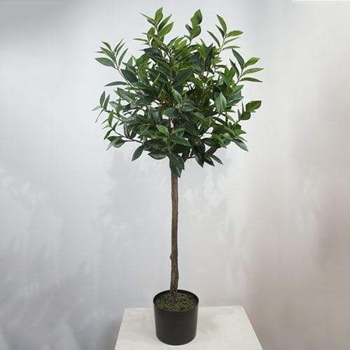 Artificial Laurel Tree, 120 CM, 180 CM