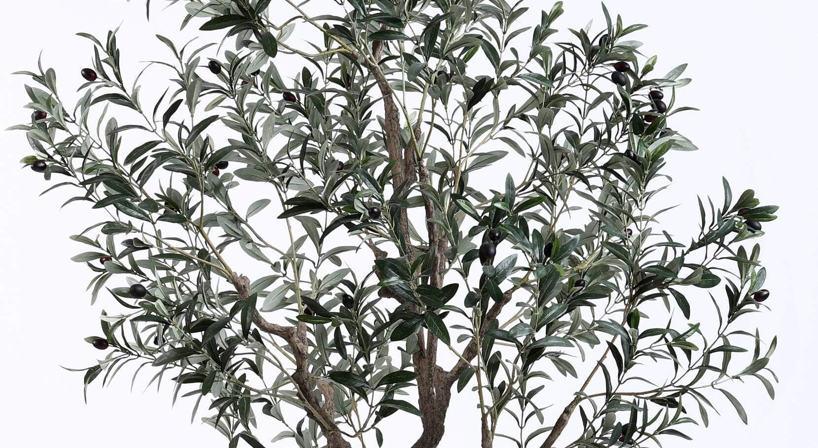 Plastic Olive Tree Plastic Olive Tree