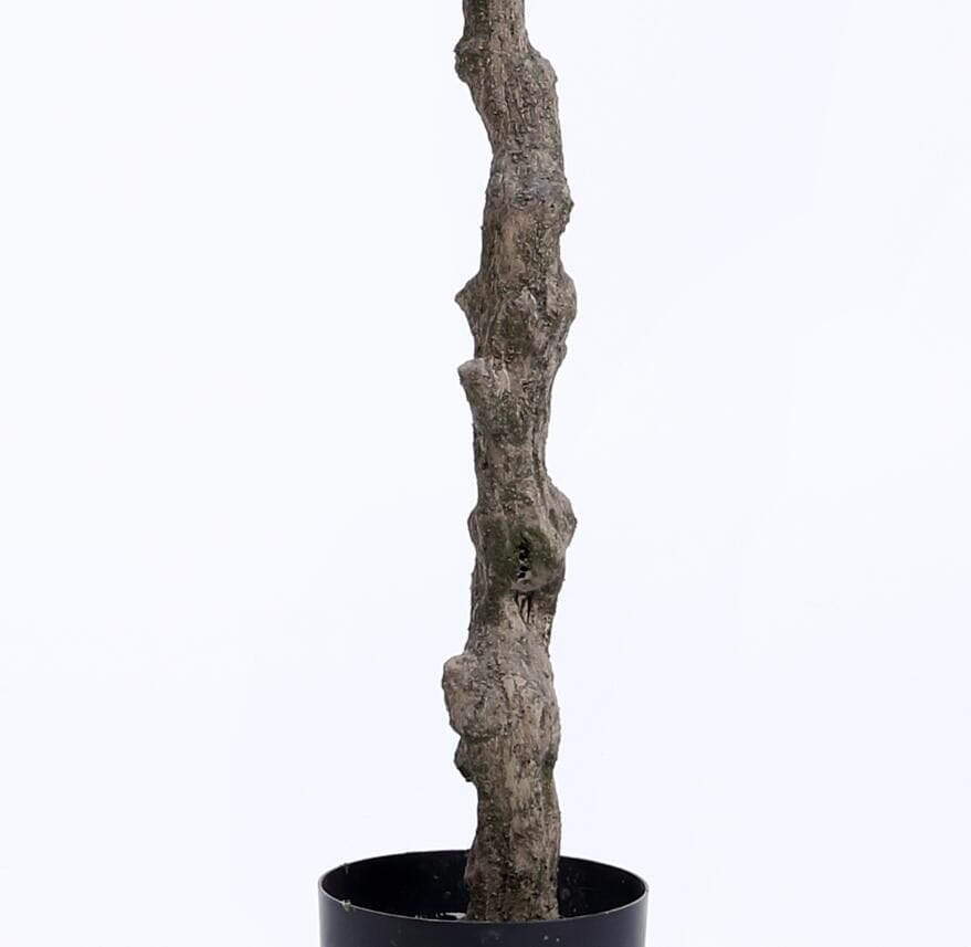 Plastic Olive Tree Plastic Olive Tree