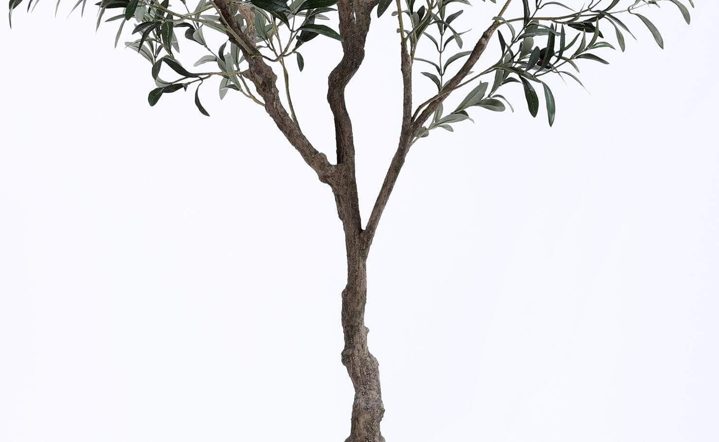 Plastic Olive Tree Plastic Olive Tree