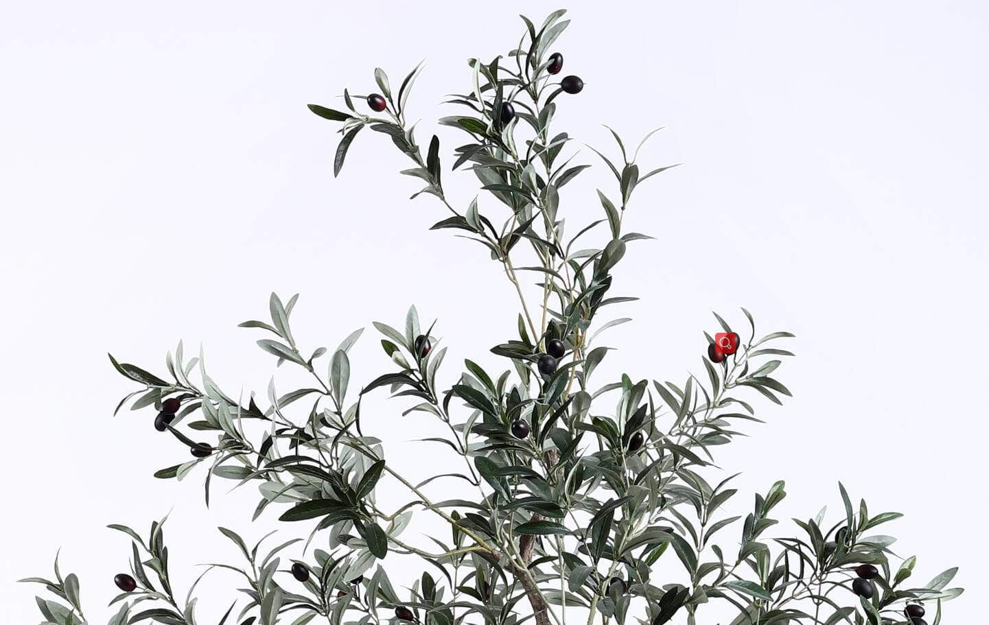 Plastic Olive Tree Plastic Olive Tree