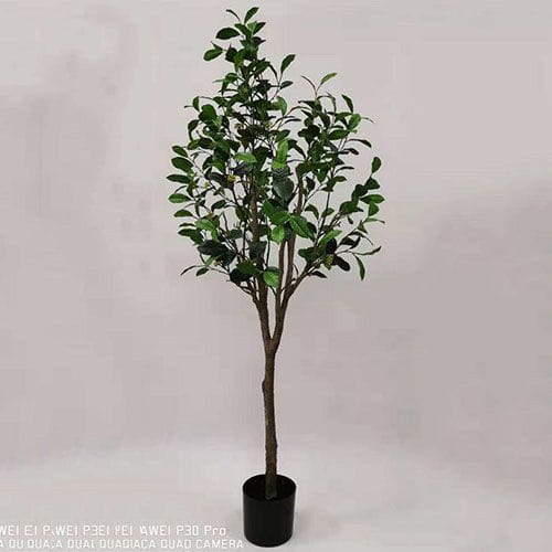 Fake Fragrant Olive Tree, 135 CM, 165 CM, 195 CM, 225 CM