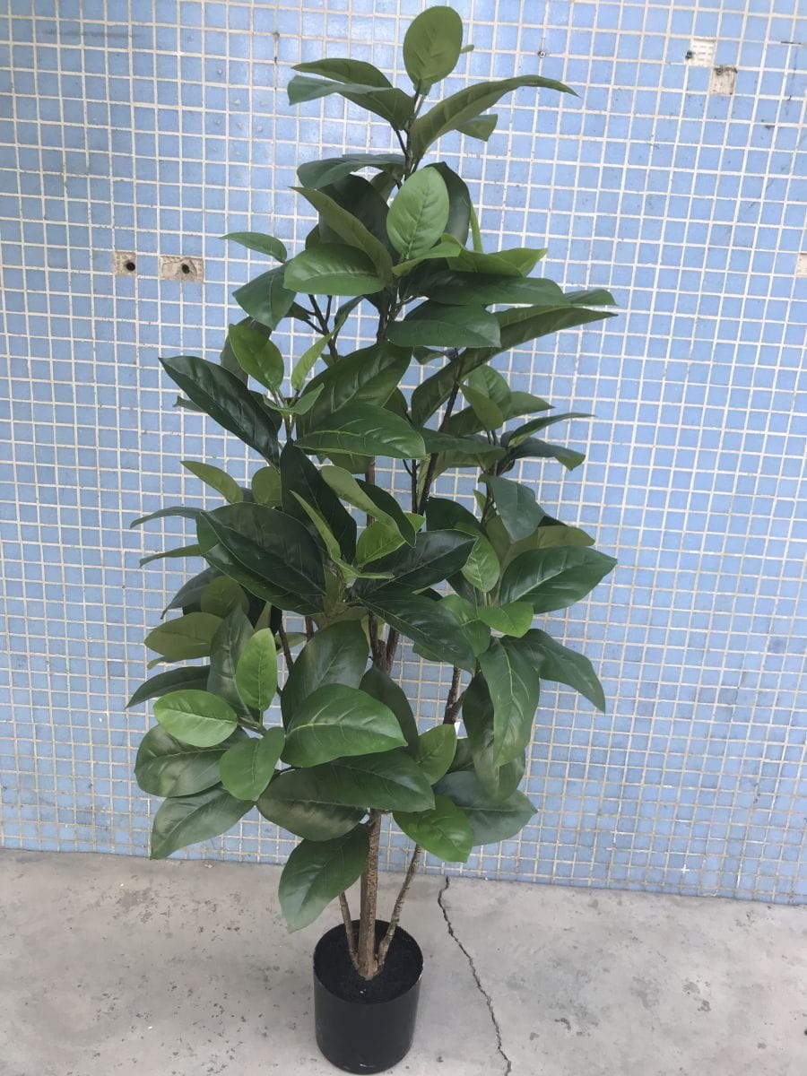Artificial Rubber Fig Tree, 120 CM - 400 CM Artificial Rubber Fig Tree, 120 CM - 400 CM