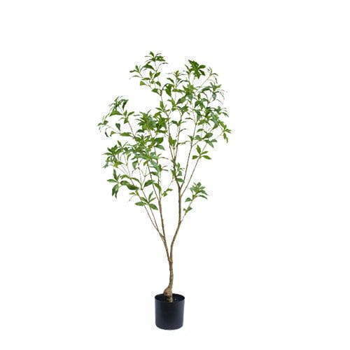 Faux Pieris Japonica Tree, 150 CM