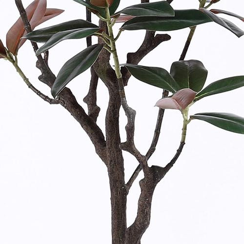 Plastic Magnolia Trees, Unique Design