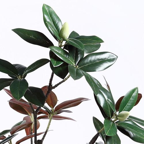 Plastic Magnolia Trees, Unique Design