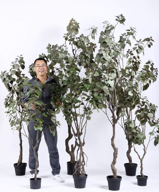 2020 Artificial Plants from Sharetrade 2020 Artificial Plants from Sharetrade