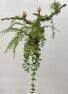 Simulated Hanging Fern Plants Artificial Hanging Fern, 85 CM ~ 90 CM