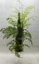 High Simulated Hanging Fern Plants Eco Friendly Faux Fern, 150 CM