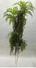 High Simulated Hanging Fern Plants Eco Friendly Faux Fern, 150 CM