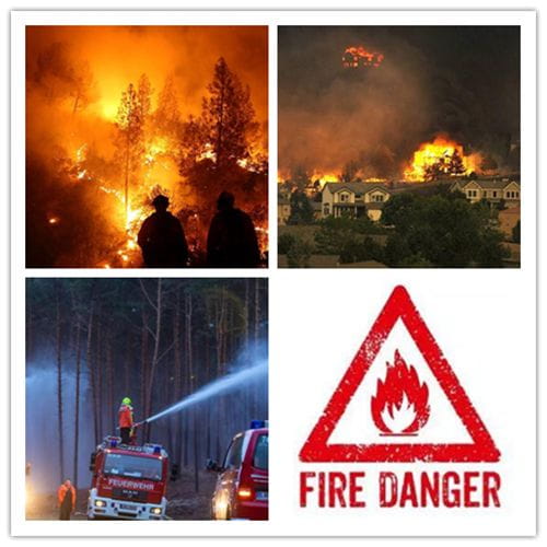 Fire Prevention - Fire Retardant Artificial Plants