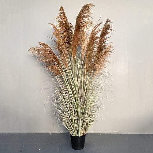 Artificial Phragmites Communis Bonsai, 90 CM, 110 CM, 173 CM, 186 CM