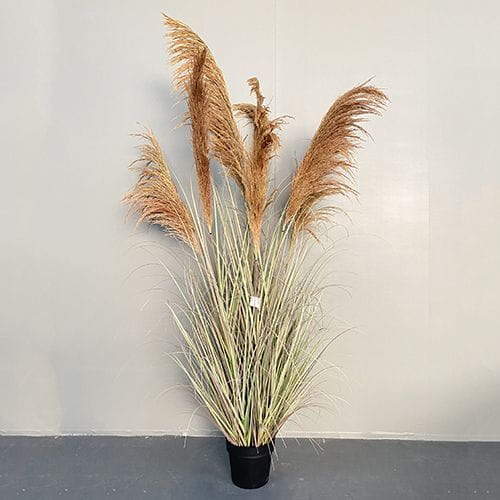 Artificial Phragmites Communis Bonsai, 90 CM, 110 CM, 173 CM, 186 CM