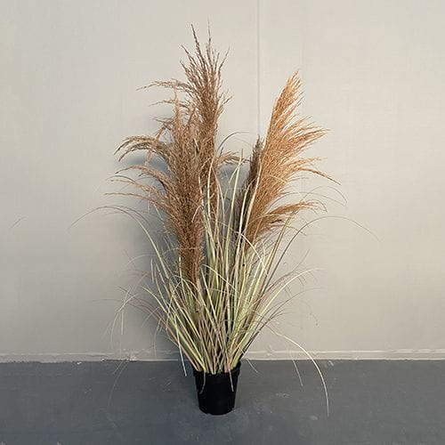 Artificial Phragmites Communis Bonsai, 90 CM, 110 CM, 173 CM, 186 CM