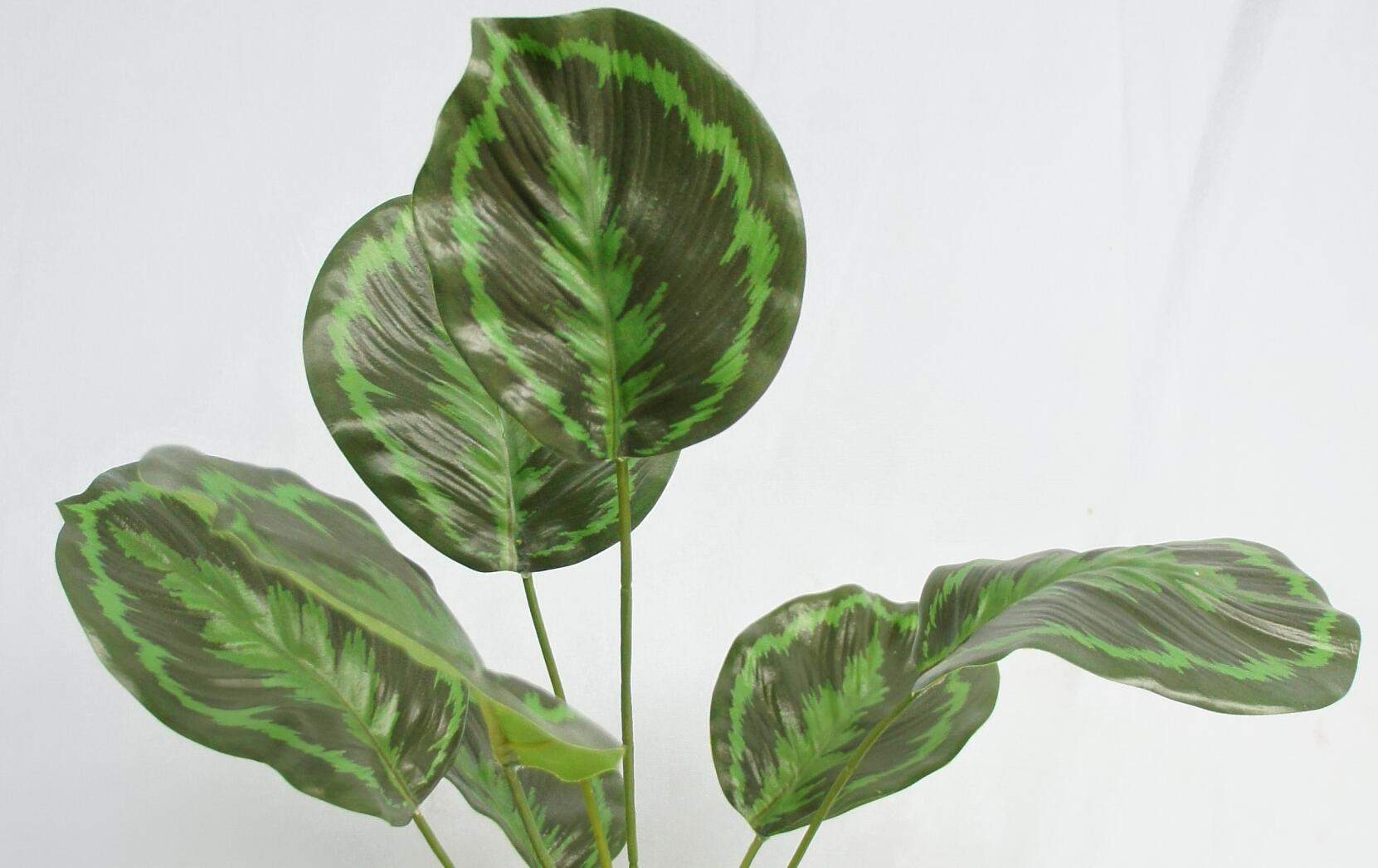 Artificial Obedience Plant 9 Leaves, 48 CM