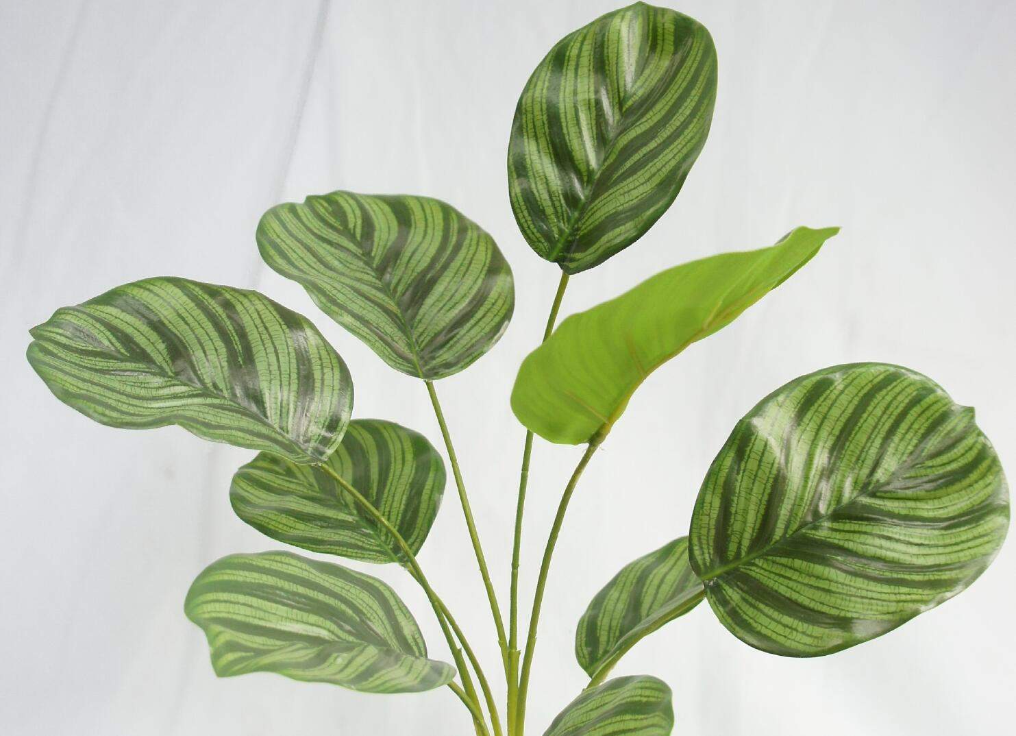 Artificial 9 Leaves Bermuda Arrowroot, 48 CM Artificial 9 Leaves Bermuda Arrowroot, 48 CM