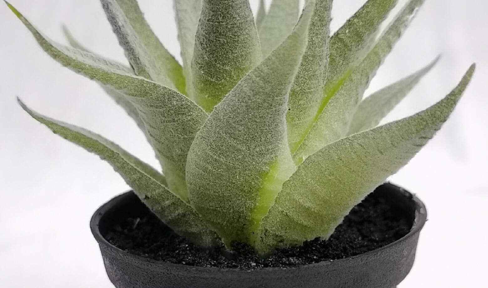Artificial Decorative Succulent Plant Artificial Decorative Succulent Plant