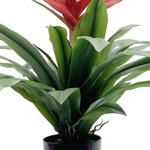 Artificial Guzmania Grand Plant, 73CM Artificial Guzmania Grand Plant, 73CM