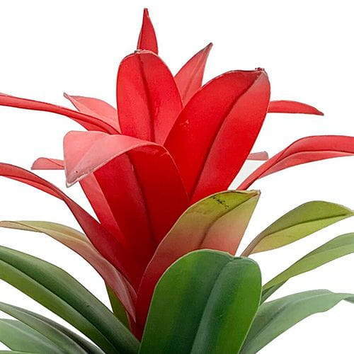 Artificial Guzmania Calypso Plant, 37CM Artificial Guzmania Calypso Plant, 37CM