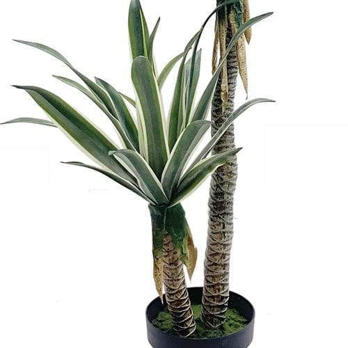 Artificial Sentry Plant, White Border, 134CM Artificial Sentry Plant, White Border, 134CM
