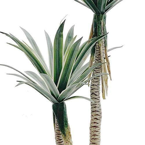 Artificial Century Plant, White Border, 166CM