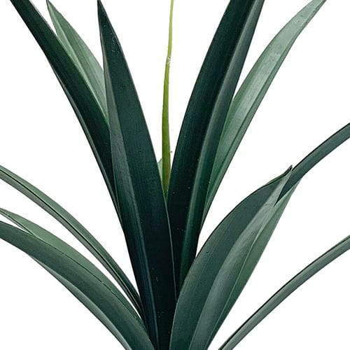 Artificial Agave Sisalana, 53CM Artificial Agave Sisalana, 53CM