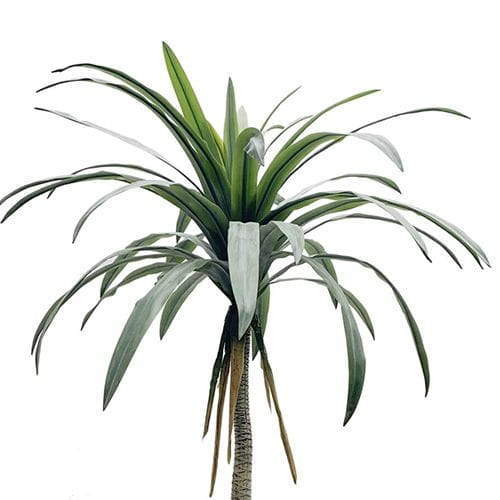 Artificial Cycas Revoluta, 183CM Artificial Cycas Revoluta, 183CM