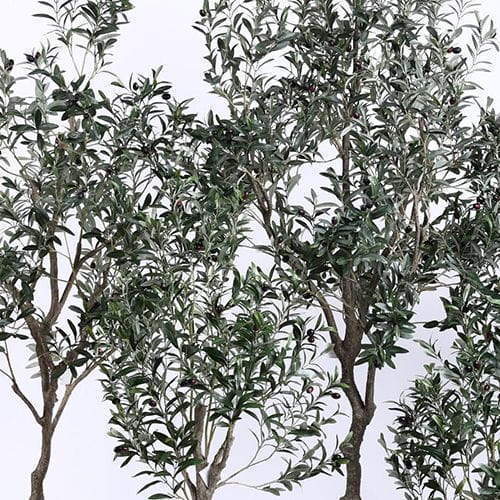 Indoor Decoration Plastic Faux Plant Artificial Olive Tree
