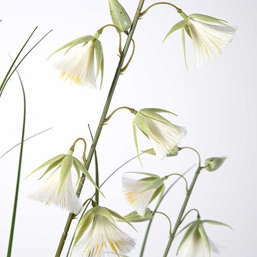 Sharetrade / China Artificial Onion Grass