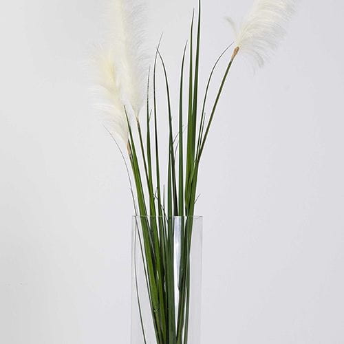 Sharetrade / China Artificial Onion Grass