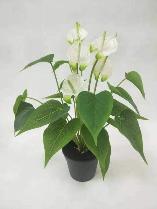 Sharetrade - Artificial Anthurium Andraeanum Sharetrade - Artificial Anthurium Andraeanum
