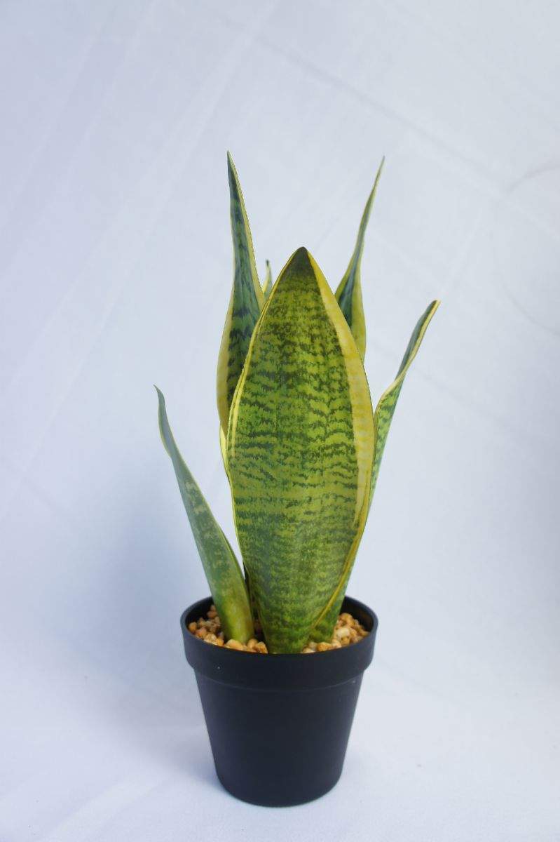 Artificial Snake Plant, 45 CM Artificial Snake Plant, 45 CM