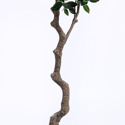 Man-made Sweet Bay Plant 240CM, Houseplant Pot