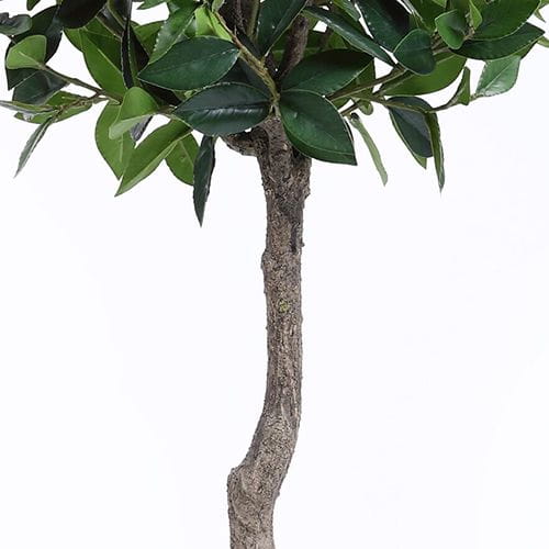 Artificial Sweet Bay Plant, 120CM