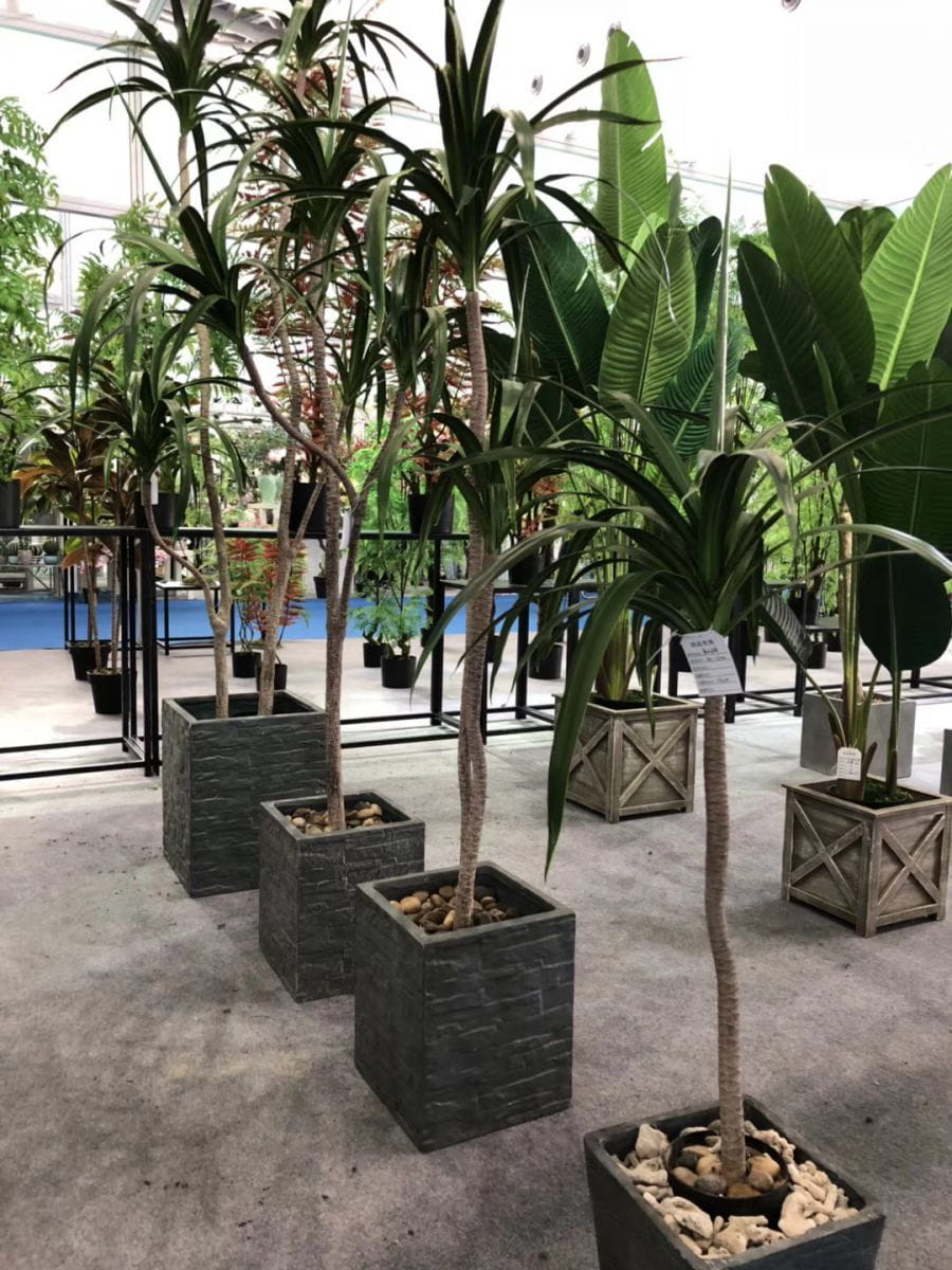Do you forget to water your plants, after some time turn into dry? Do you forget to water your plants, after some time turn into dry?