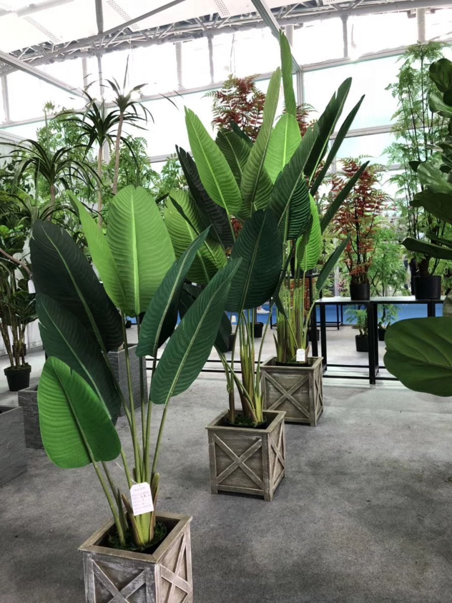 Do you forget to water your plants, after some time turn into dry? Do you forget to water your plants, after some time turn into dry?