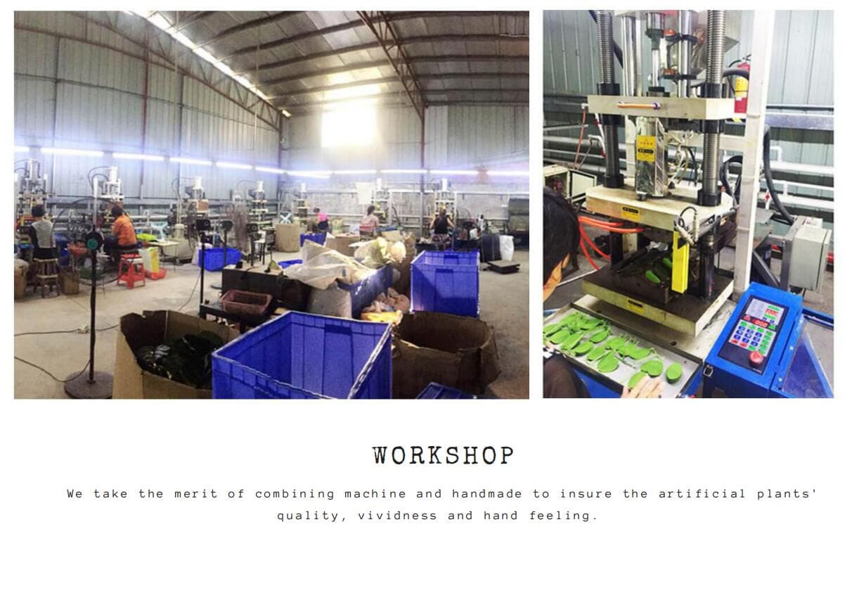 Details of Our Factory. - Backup Force & The Power of Unity