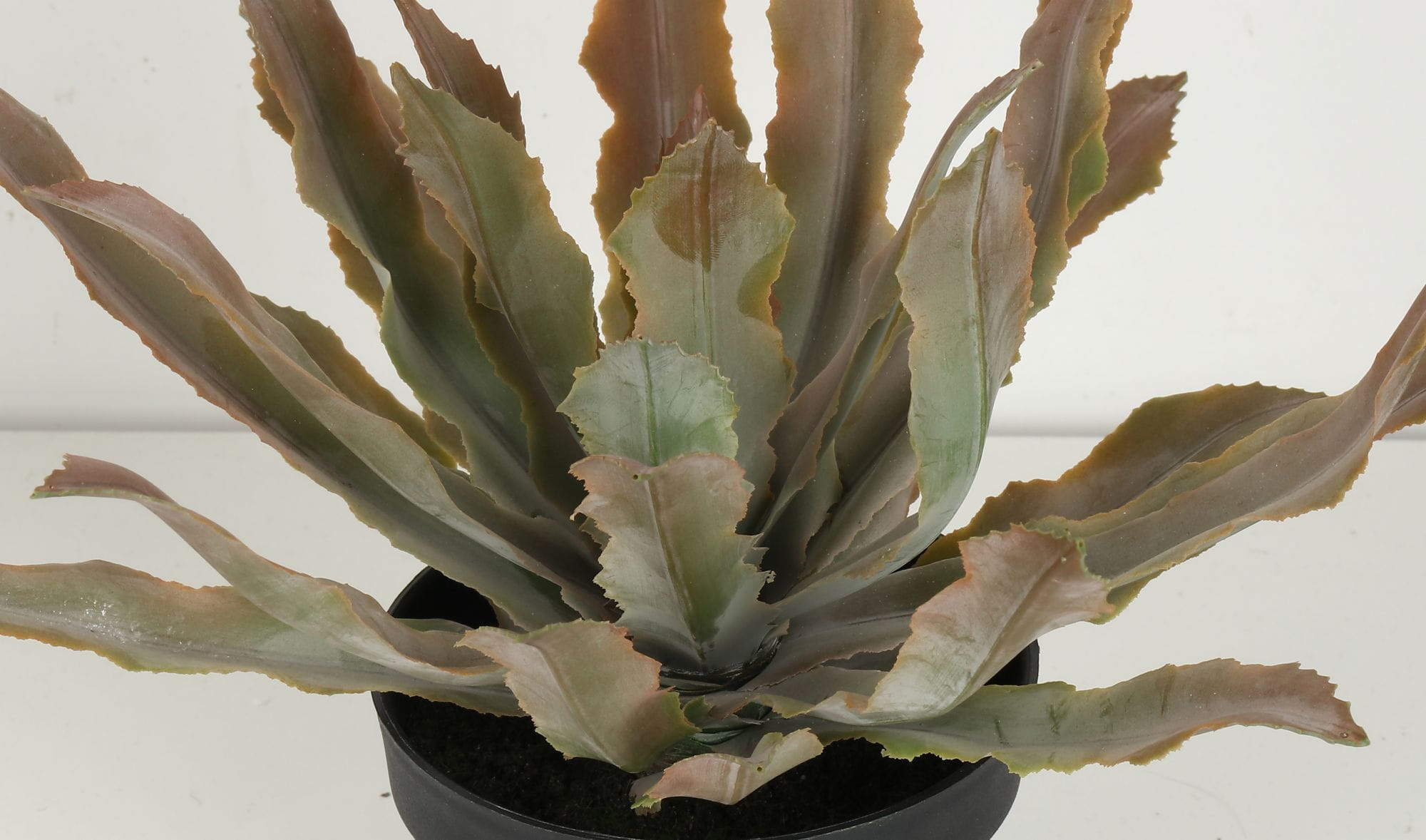 Artificial Cryptanthus Acaulis Bonsai, 24 CM, 29 CM, 38 CM Artificial Cryptanthus Acaulis Bonsai, 24 CM, 29 CM, 38 CM