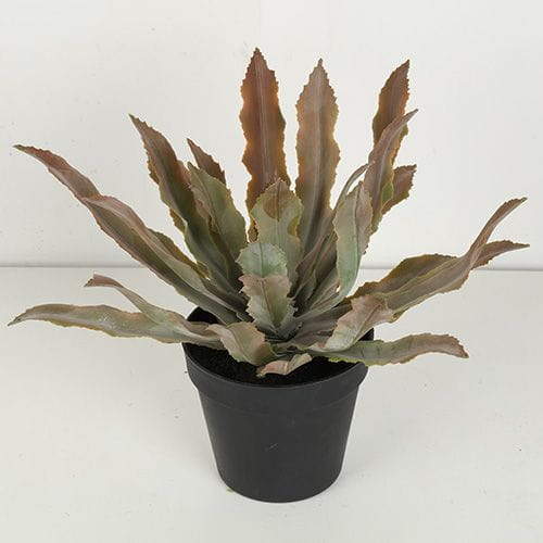Artificial Cryptanthus Acaulis Bonsai, 24 CM, 29 CM, 38 CM