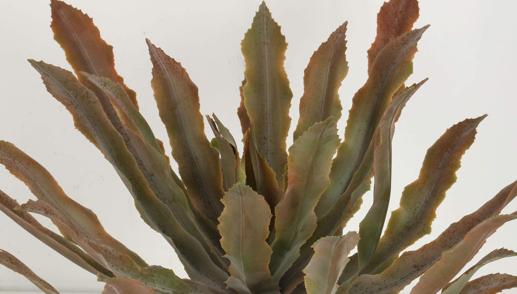 Artificial Cryptanthus Acaulis Bonsai, 24 CM, 29 CM, 38 CM Artificial Cryptanthus Acaulis Bonsai, 24 CM, 29 CM, 38 CM