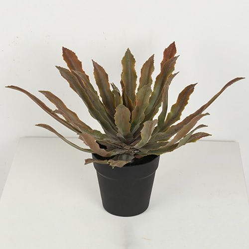 Artificial Cryptanthus Acaulis Bonsai, 24 CM, 29 CM, 38 CM
