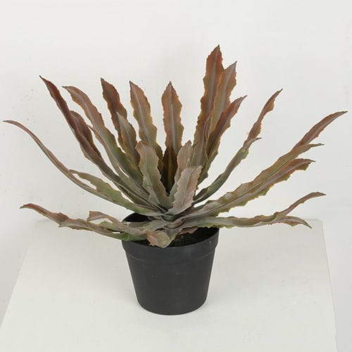 Artificial Cryptanthus Acaulis Bonsai, 24 CM, 29 CM, 38 CM