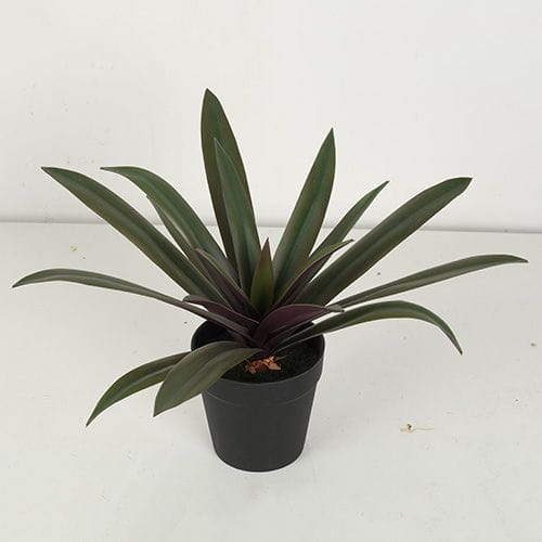 Artificial Rohdea Japonica Bonsai, 19 CM - 32 CM