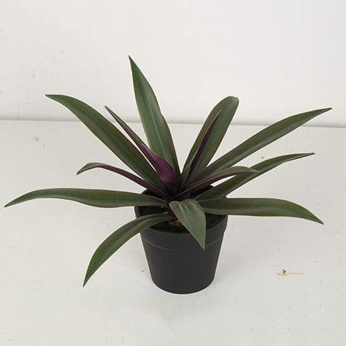 Artificial Rohdea Japonica Bonsai, 19 CM - 32 CM
