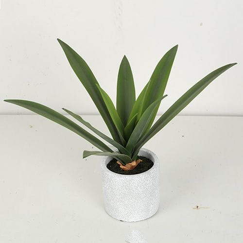 Artificial Rohdea Japonica Bonsai, 19 CM - 32 CM